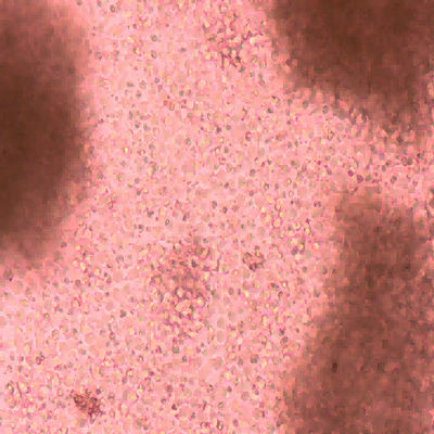 Good price Innovative Immune Cells Redefining Therapeutic Horizons online
