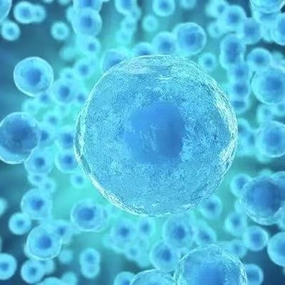 Aesthetic Use Exosome FDA Approved High Viability Skin Cell Compatible