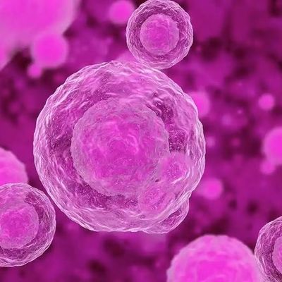 Good price Cell Preservation Solution Medical FDA Approved Exosomes For Skin Cell Storage / Cosmetic R&D Keeps Cells Active & Stable online
