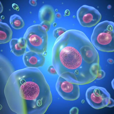 High-Quality Cell Preservation Solution FDA Approved Exosomes Clear Liquid Sterile & Non-Toxic For Clinical Sample Collection , Scientific Cell Cryopreservation & Transportation